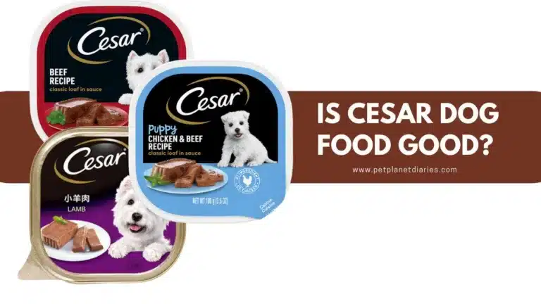Is Cesar Dog Food Good? Unveiling the Truth About Cesar Dog Food Quality