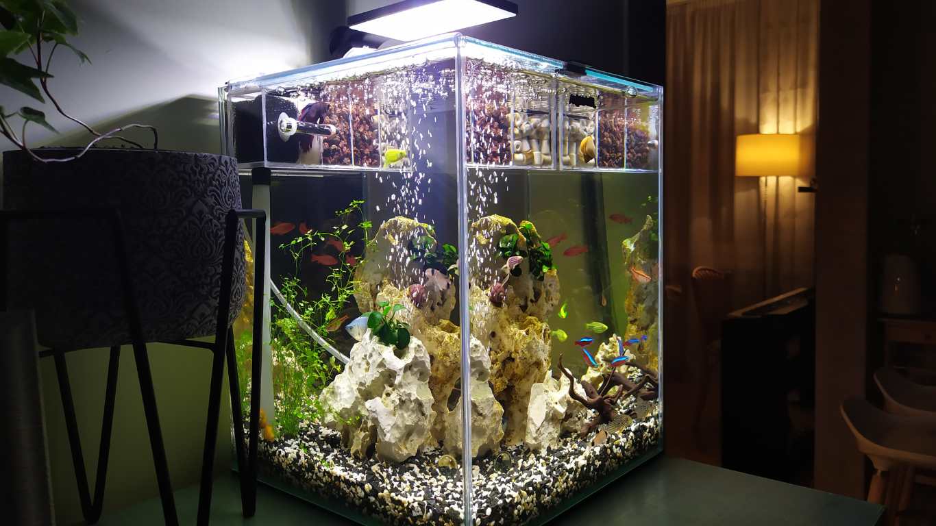 Buying a 'Small' Aquarium